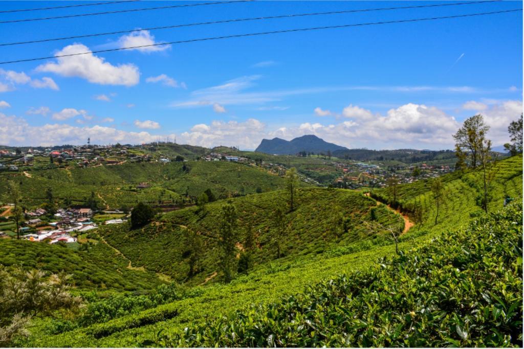 Tealeaf Bed & Breakfast Nuwara Eliya Exterior foto