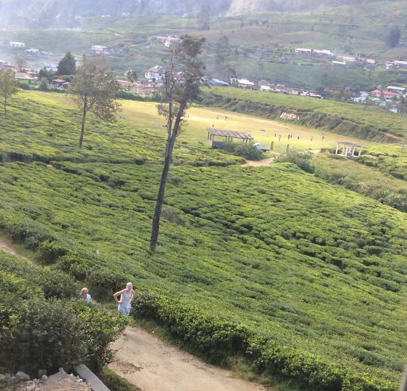 Tealeaf Bed & Breakfast Nuwara Eliya Exterior foto