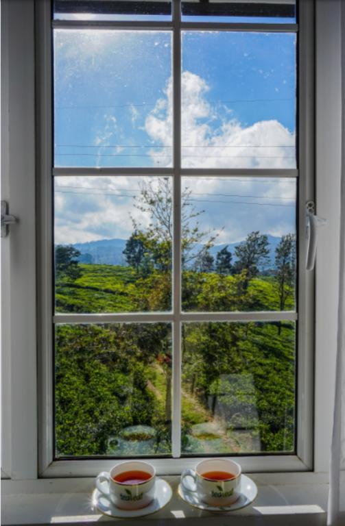 Tealeaf Bed & Breakfast Nuwara Eliya Exterior foto